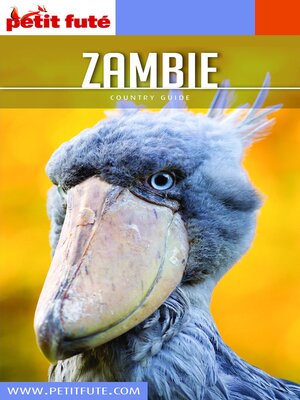 cover image of ZAMBIE 2020 Petit Futé